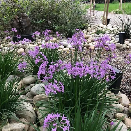 Maison De Montmorency Au Pied De La Cite Carcassonne