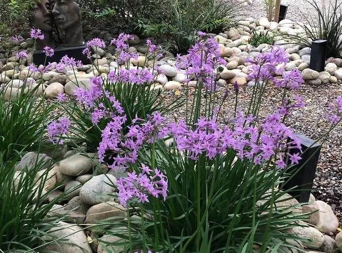 Maison De Montmorency Au Pied De La Cite Carcassonne